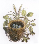 Акриловый штамп La Blanche - Nest with Eggs Stamp
