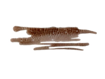 Кракелюрный лак-акцент от ScrapEgo - Горький шоколад, цвет темно-коричневый