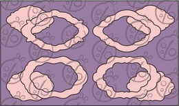 Чипборд. Набір рамок №5. Малі cb-331