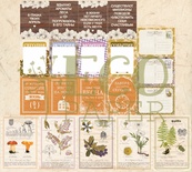 Набор карточек от EcoPaper -  "Тайны леса", 20шт.