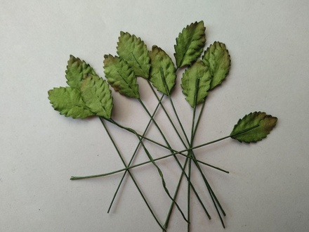 Листики, цвет зеленый, размер - 22x12мм, 10 шт.