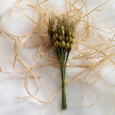 Колоски, цвет зеленый, 1 пучок из 10 штук