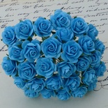 Відкриті троянди, колір світла-біри, діаметр - 10мм, 10 шт.