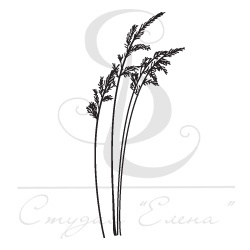 Штамп от Питерского Скрапклуба - Метелка 2