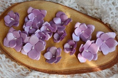 Набор бумажных цветов от WOODchic - "Перламутровые" 067