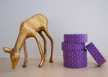 Паперовий скотч Washi Tape Freckled Fawn, FF005, довжина 10 м, ширина 1,5см