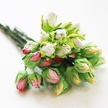 Бутончики роз, цвет белый, длина бутона 12-15мм, 10 штук