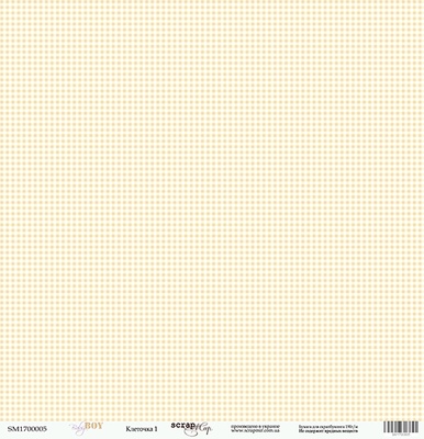 Аркуш односторонній Scrapmir - Клітка - Baby Boy, 30x30 см