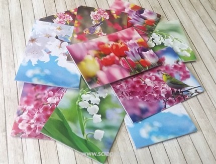 Картки на щільному картоні від Євгенія Курдібановська ТМ - "Весна", 5x7 см, 10 штук