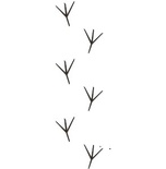 Акриловый штамп FA046 Следы птиц, размер 8,2 * 2,5 см