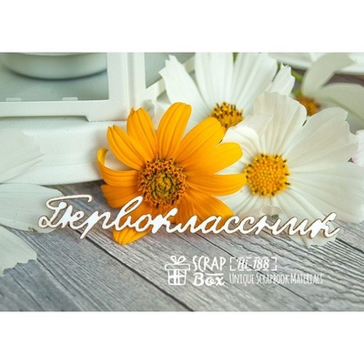 Чипборд Scrapbox — Первоклассник Hi-188