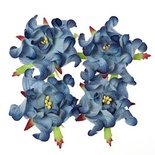 Гардении, набор 4шт., диаметр 5см, синие