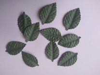 Листики, цвет зеленый, 40х25мм, 10 шт.