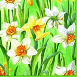 Серветка для декупажу "Нарциси", колір фону: світлий зелений, розмір: 33x33 см