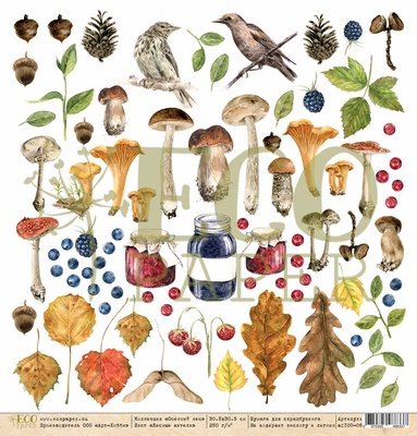 Лист односторонней бумаги для скрапбукинга от EcoPaper - "Лесные жители" из коллекции "Осенний лес", 30.5х30.5