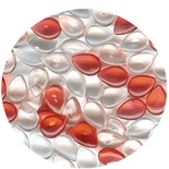 Прозорі краплі The Robin's Nest Dew Drops - Two Lips, 280 - 300 шт.