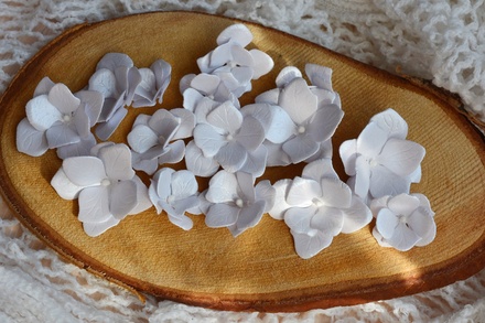 Набор бумажных цветов от WOODchic - "Перламутровые" 065