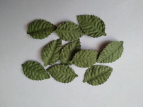 Листики, цвет оливковый, 40х25мм, 10 шт.