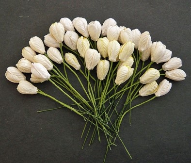 Набір тюльпанів (білі та кремові відтінки), 10мм, 10 шт.