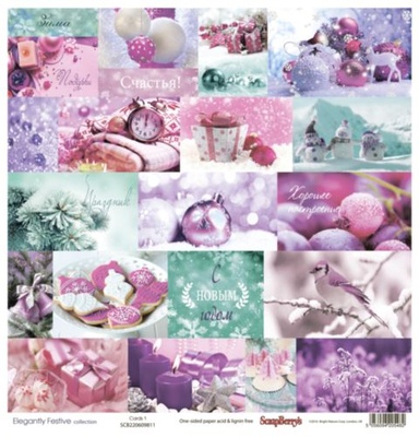 Набор бумаги для скрапбукинга от Scrapberry's - Зимние контрасты (10+2), 30,5х30,5 см, 190 гр/м