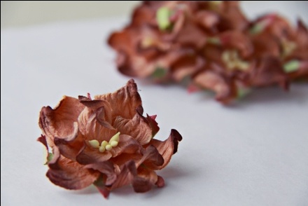 Гардения, диаметр 5 см, цвет коричневый, 1 шт.