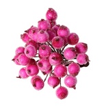 Ягідки круглі в осипці, колір фуксія, 16.0 см 12 мм, по 2 шт. на стебельці, всього 40шт.