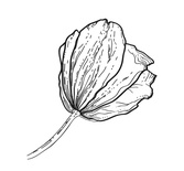 Акриловый штамп FL036 Цветок, размер 3,8 * 4,1 см