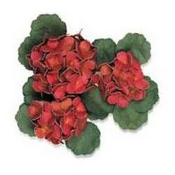 Фигурный дырокол McGill -  Mini Petals