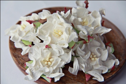 Гардения, диаметр 5 см, цвет белый, 1 шт.