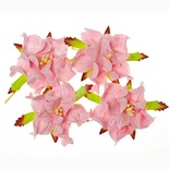 Гардении, набор 4шт., диаметр 5см, нежно-розовые