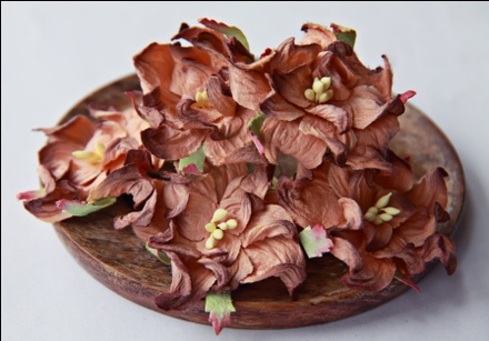 Гардения, диаметр 5 см, цвет коричневый, 1 шт.