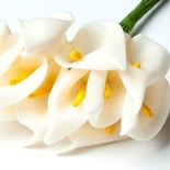 Набор КАЛЛЫ 3 см, 12 шт HY001001744-1