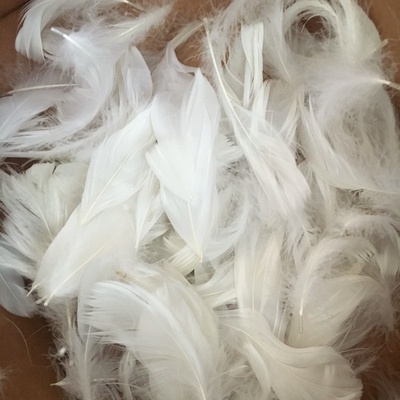 Перья белые, прим. 150 штук