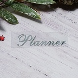 Термонапис «Planner» №4, срібло, 55x14м