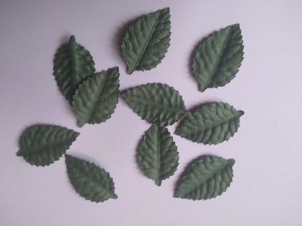Листики, цвет зеленый, 40х25мм, 10 шт.