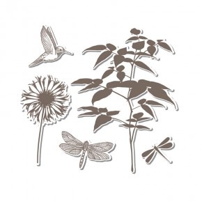 Лезвия и штампы - Sizzix - Framelits Die Set 5PK w/Stamp - Fern, 5 шт.