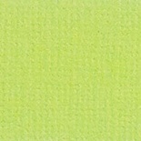 Кардсток текстурний салатовий, 30,5*30,5см, 216 г/м² SCB172312107