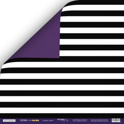 Аркуш двустороннього паперуScrapmir - Темні Лінії - Ticket to the Moon, 30x30см