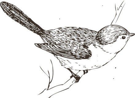 Акриловый штамп FA045 Воробей, размер 4,2 * 3,1 см