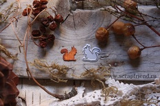 Нож для вырубки от Scrapfriend - Белочка, 1,5х1,5см