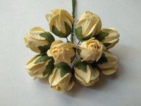 Бутони великі дикої троянди, колір кремовий, розмір бутона 2см, 1шт.