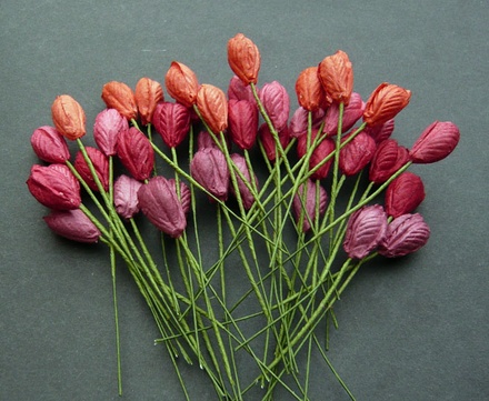 Тюльпан, колір червоний мікс, діаметр - 10мм, 10 шт.