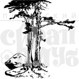 Акрилові штампи дизайну Олена Виноградова "Сосни і каміння"