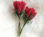 Гілочки декоративні з листочками, колір червоний, 1 пучок з 10 штук