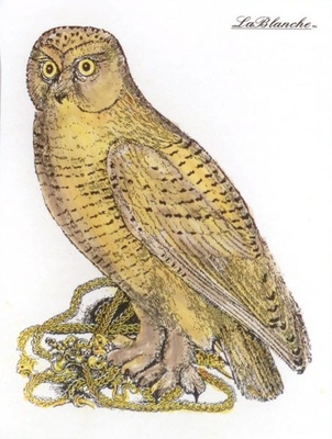 Акриловий штамп La Blanche - Watching Owl Stamp