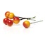 Ягідки круглі на ніжці, жовто-червоні, 6.6 смx12мм, 10 шт.