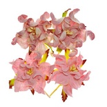 Гардении, набор 4шт., диаметр 5см, розовые и бело-розовые