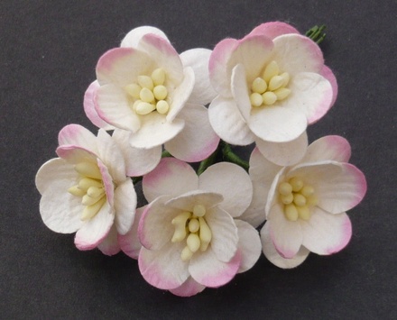Квіти вишні, колір білий з рожевим, діаметр - 25мм, 5шт.