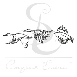 Штамп від ПСК - Качки Летять