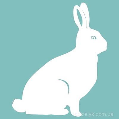 Чипборд від Вензелик - Кролик, 60x70 мм, розмір: 60x70 мм